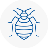 Bed Bug Extermination In Chorley